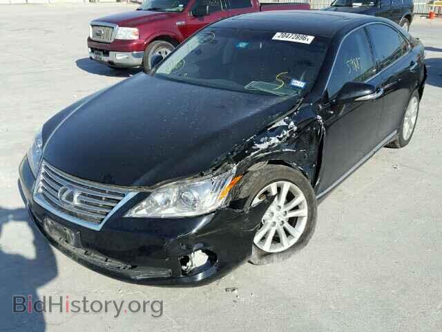 2010 LEXUS ES350 - VIN: JTHBK1EG0A2383408 - Фото 2