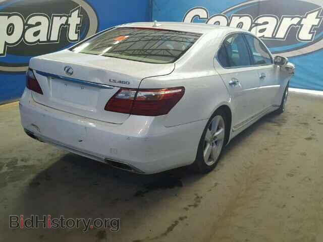 2011 LEXUS LS460 - VIN: JTHBL5EF7B5105617 - Фото 4
