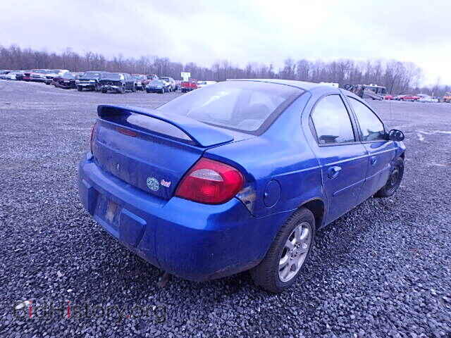 2004 DODGE NEON - VIN: 1B3ES56C54D560997 - Фото 4
