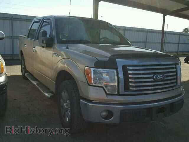 Фотография 1FTFW1CF2BFB38864 - FORD F150 2011