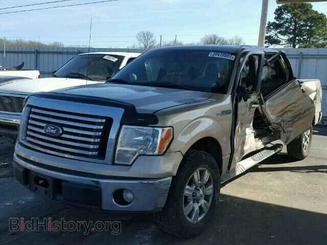 2011 FORD F150 - VIN: 1FTFW1CF2BFB38864 - Фото 2