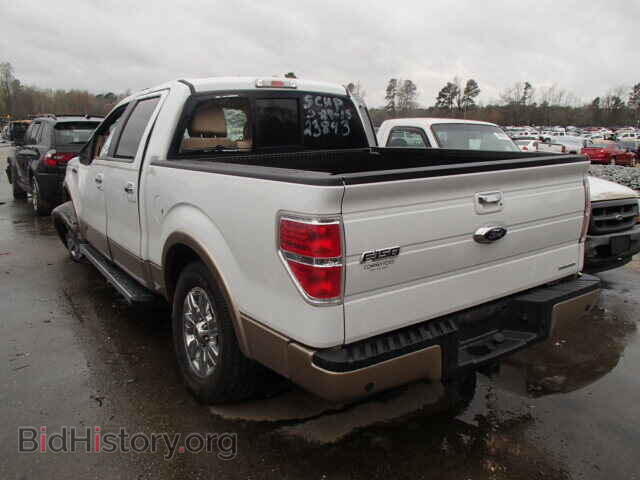 2011 FORD F150 - VIN: 1FTFW1CF1BFA11068 - Фото 3