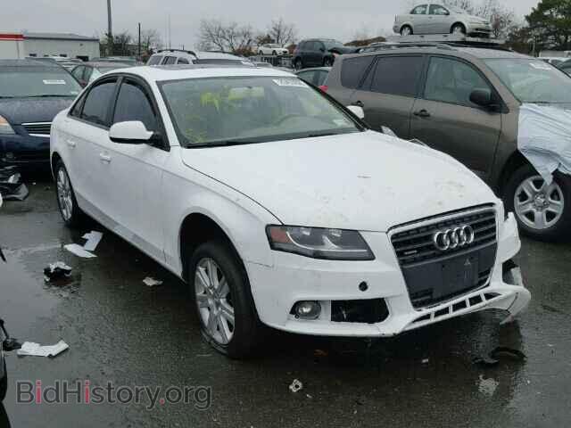Фотография WAUBFAFL9BN041969 - AUDI A4 2011