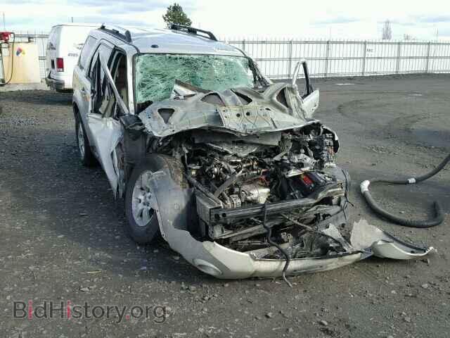 Фотография 1FMCU04G99KC02504 - FORD ESCAPE 2009