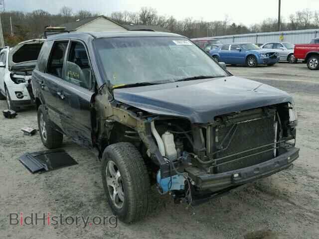 Photo 5FNYF18758B033517 - HONDA PILOT 2008