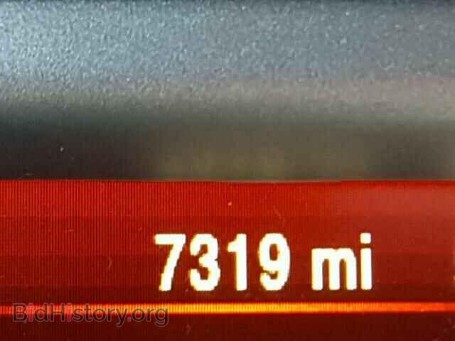 2017 DODGE JOURNEY - VIN: 3C4PDCBG5HT509708 - Photo 8