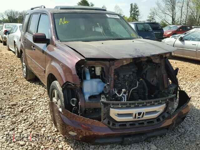 Фотография 5FNYF3H50BB012320 - HONDA PILOT 2011
