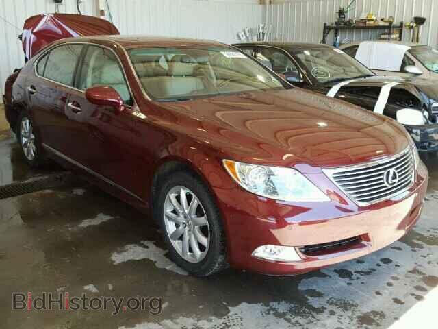 Фотография JTHGL46F385021172 - LEXUS LS460 2008