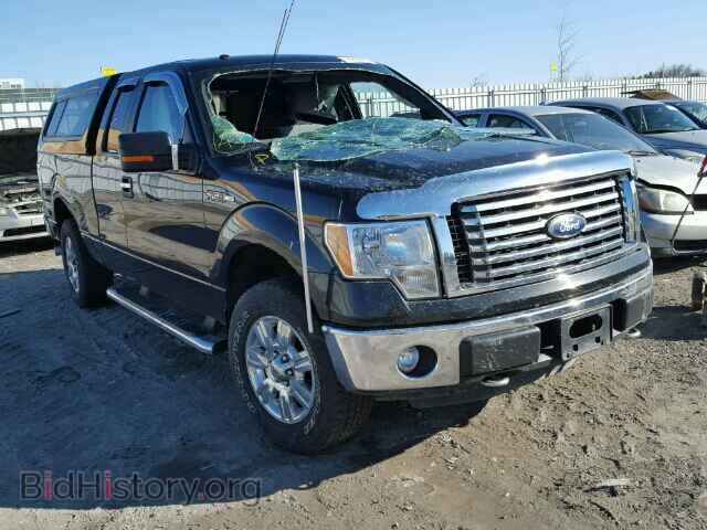 Фотография 1FTFX1EF5BFA01024 - FORD F150 2011