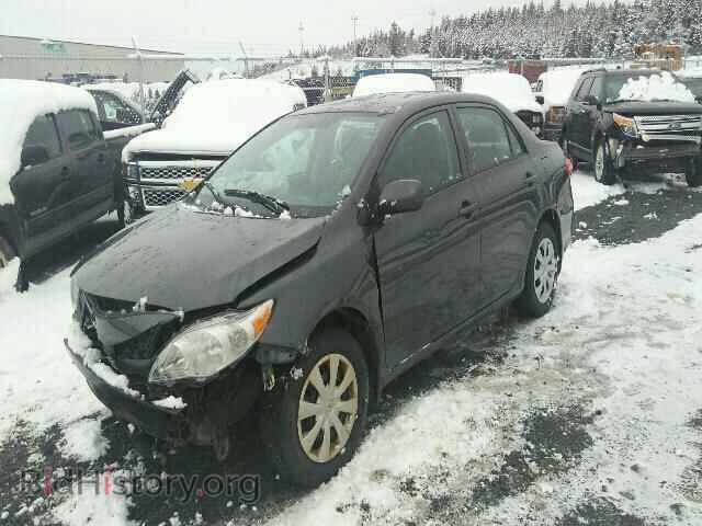 2011 TOYOTA COROLLA - VIN: 2T1BU4EE3BC704503 - Фото 2
