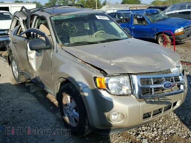 Фотография 1FMCU0DG8BKA04230 - FORD ESCAPE 2011