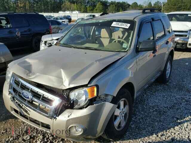 2011 FORD ESCAPE - VIN: 1FMCU0DG8BKA04230 - Фото 2