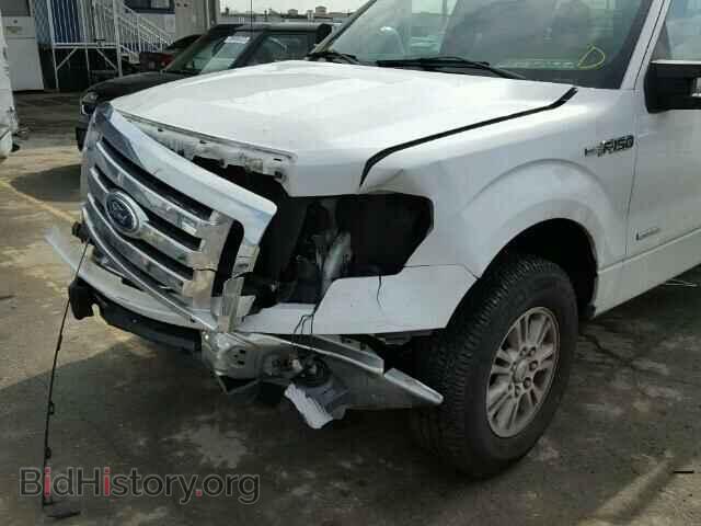 2012 FORD F150 - VIN: 1FTVX1CTXCKD10792 - Фото 9