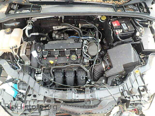2014 FORD FOCUS - VIN: 1FADP3K25EL320181 - Photo 7