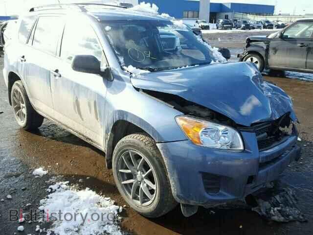 Фотография 2T3BF4DV9CW239826 - TOYOTA RAV4 2012