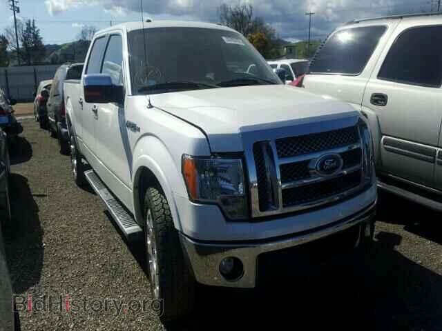 Фотография 1FTFW1CF0CFB95744 - FORD F150 2012