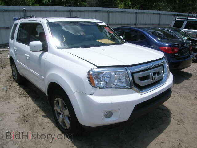Photo 5FNYF4H52BB049990 - HONDA PILOT 2011