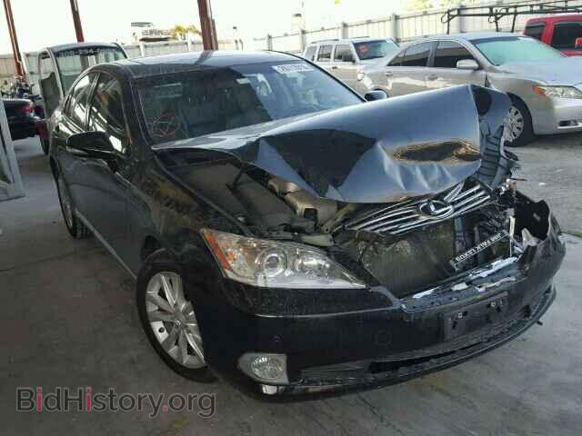 Photo JTHBK1EG3A2405644 - LEXUS ES350 2010