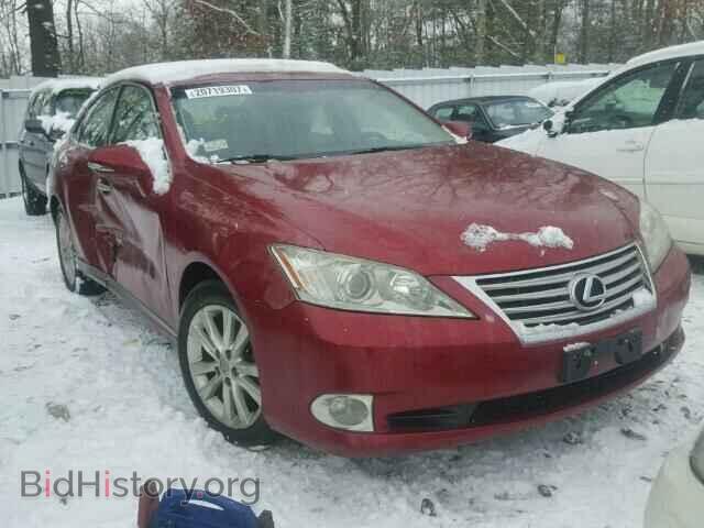 Photo JTHBK1EG8A2392342 - LEXUS ES350 2010