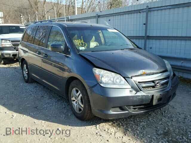 Фотография 5FNRL38665B029200 - HONDA ODYSSEY 2005