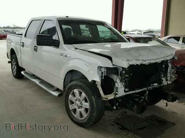 Фотография 1FTFW1CF1DFC34181 - FORD F150 2013