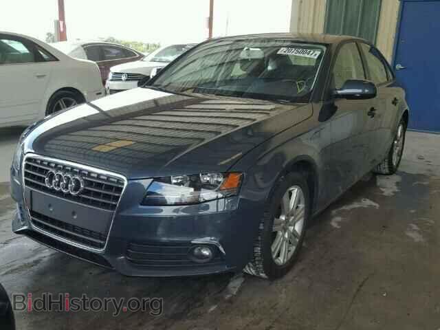2010 AUDI A4 - VIN: WAUAFAFL7AN019687 - Фото 2