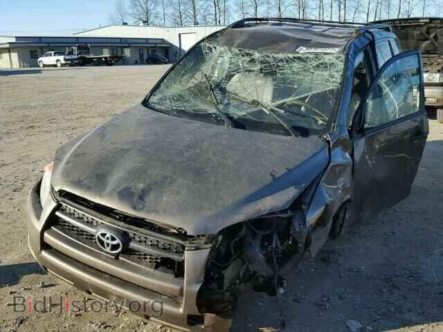 2012 TOYOTA RAV4 - VIN: 2T3BF4DV9CW186447 - Фото 2