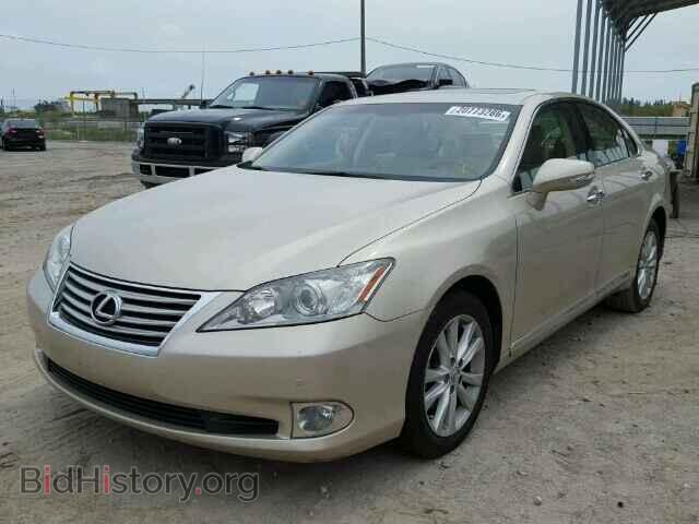 2010 LEXUS ES350 - VIN: JTHBK1EG5A2412871 - Фото 2