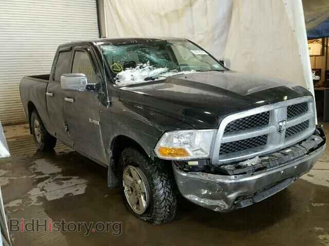 Photo 1D3HV18P09S784569 - DODGE RAM 1500 2009