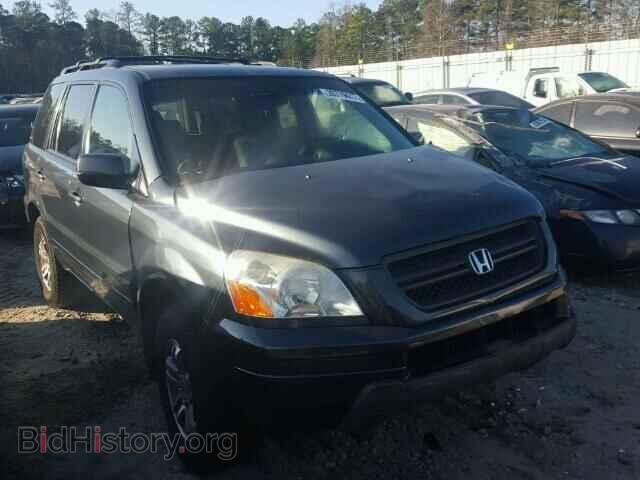 Photo 5FNYF18425B004364 - HONDA PILOT 2005