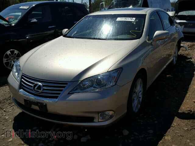 2010 LEXUS ES350 - VIN: JTHBK1EG8A2384533 - Фото 2
