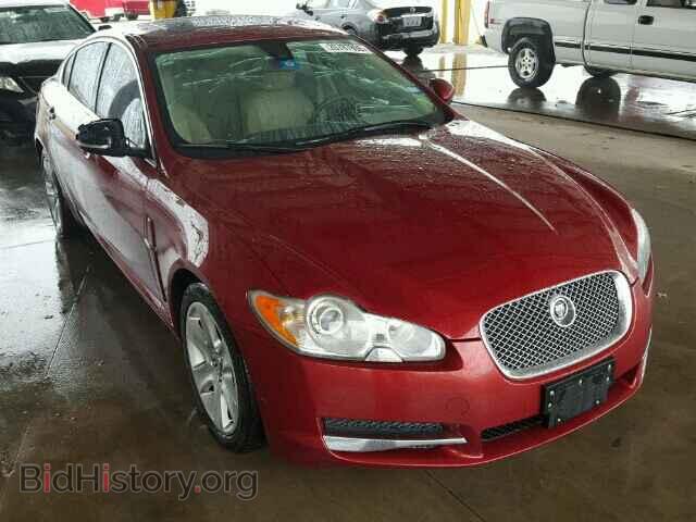 Фотография SAJWA0FB8BLS20165 - JAGUAR XF 2011