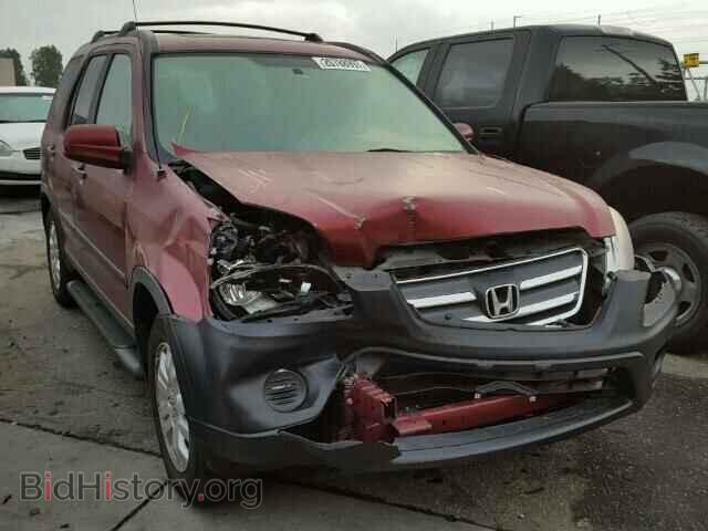 Photo JHLRD78855C062436 - HONDA CRV 2005