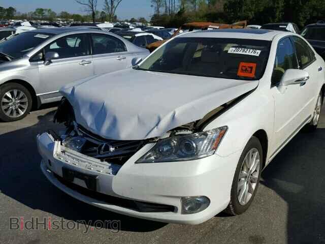 2011 LEXUS ES350 - VIN: JTHBK1EG2B2455355 - Фото 2