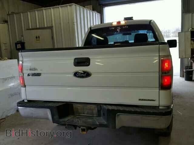 2011 FORD F150 - VIN: 1FTMF1EF3BFB71375 - Фото 6