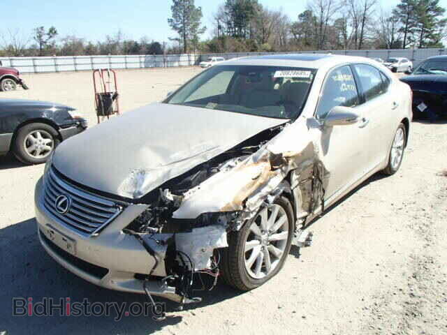 2011 LEXUS LS460 - VIN: JTHCL5EF5B5009683 - Фото 2