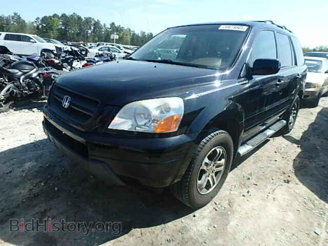 2005 HONDA PILOT - VIN: 5FNYF18605B020841 - Фото 2