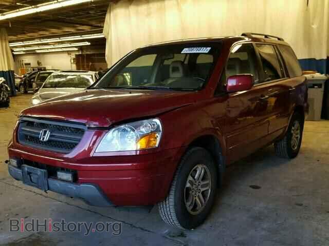 2005 HONDA PILOT - VIN: 5FNYF18585B004782 - Фото 2