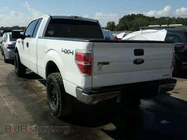 2011 FORD F150 - VIN: 1FTFX1EF2BFB05079 - Фото 3