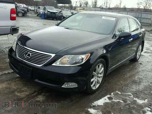 2009 LEXUS LS460 - VIN: JTHCL46F995004263 - Фото 2