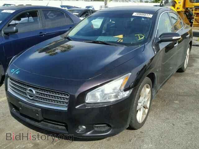 2010 NISSAN MAXIMA - VIN: 1N4AA5AP6AC823614 - Фото 2