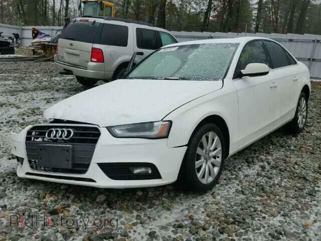 2013 AUDI A4 - VIN: WAUBFAFL6DN032116 - Фото 2