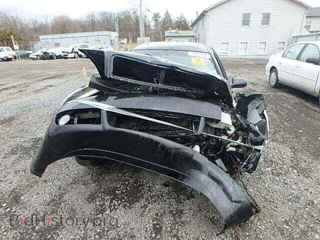 2004 AUDI A6 - VIN: WAUCD64B44N082384 - Фото 9