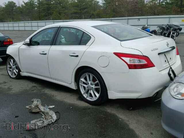 2009 NISSAN MAXIMA - VIN: 1N4AA51E79C836172 - Фото 3