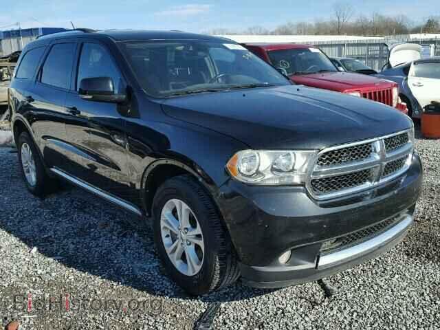 Photo 1D4RD4GG7BC694857 - DODGE DURANGO 2011
