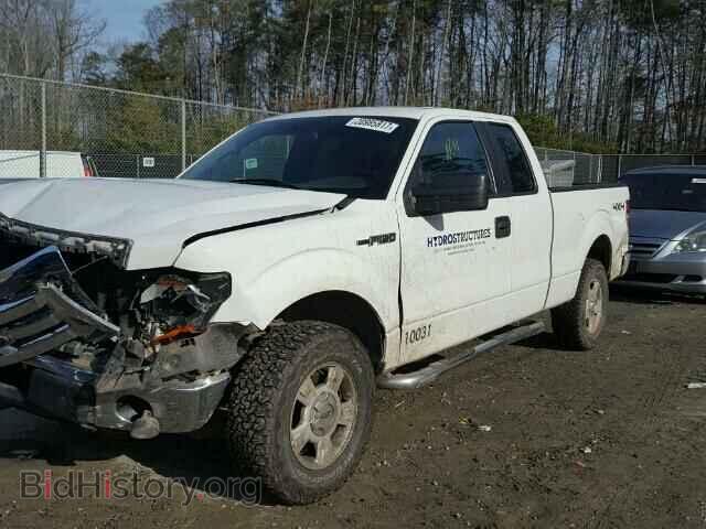 2011 FORD F150 - VIN: 1FTFX1EF9BFC84480 - Фото 2