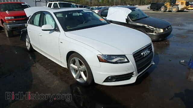 Photo WAUFFAFLXCA101185 - AUDI A4 2012