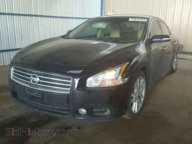 2010 NISSAN MAXIMA - VIN: 1N4AA5AP0AC839582 - Фото 2