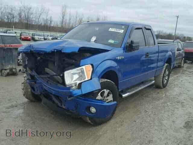 2013 FORD F150 - VIN: 1FTFX1EF6DFD88248 - Фото 2