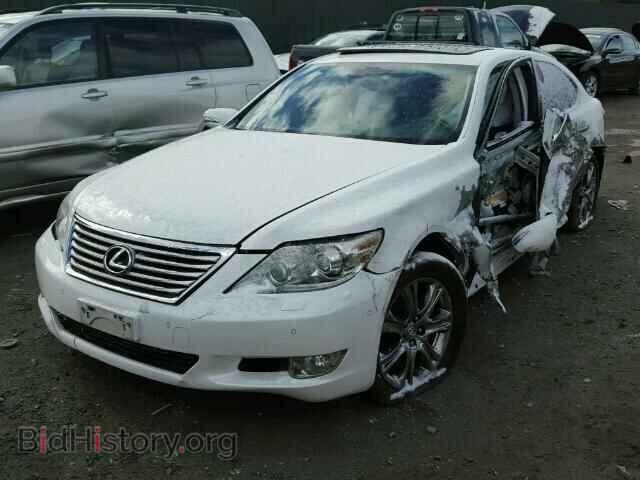 2010 LEXUS LS460 - VIN: JTHCL5EF5A5005356 - Фото 2